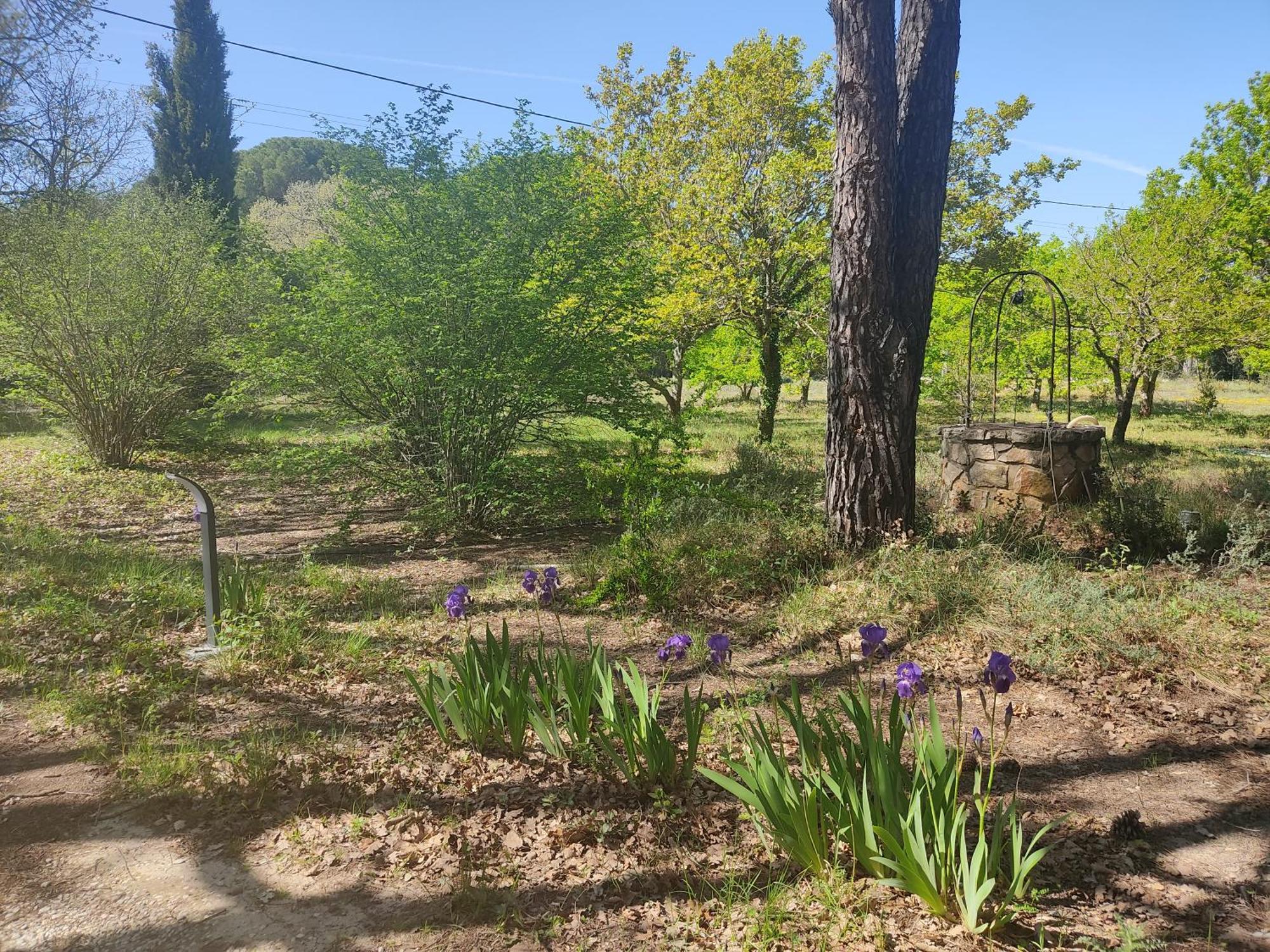 Villa Dans La Foret Provencale Jouques 外观 照片